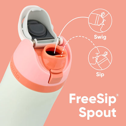 Freesip Insulated Stainless Steel Water Bottle with Straw, Bpa-Free Sports Water Bottle, Great for Travel, 24 Oz, Very, Very Dark